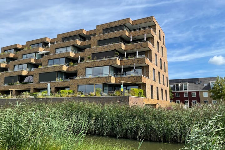 Foto 48 van Lisdodde 213