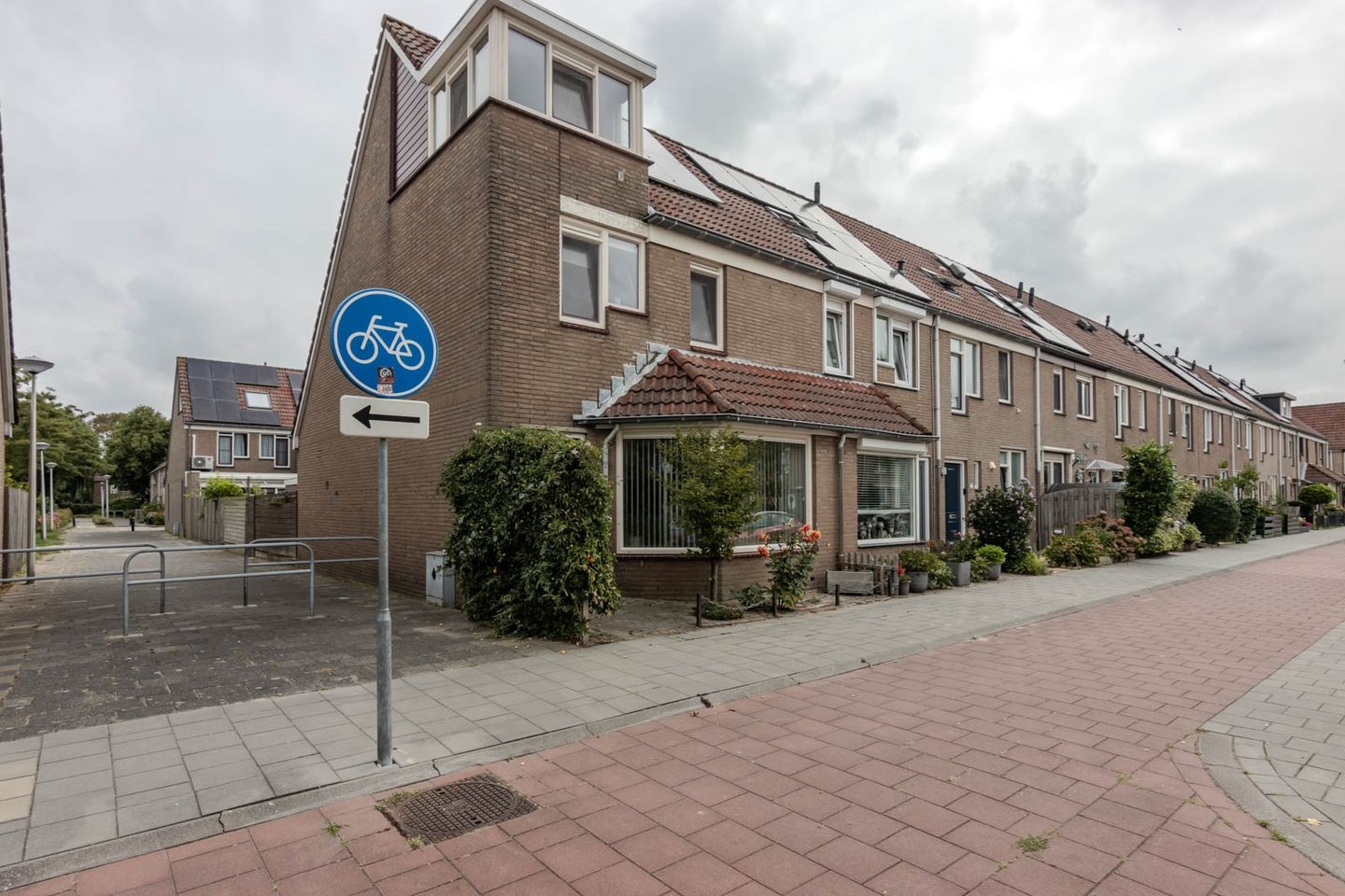 Foto 1 van Buntgras 33