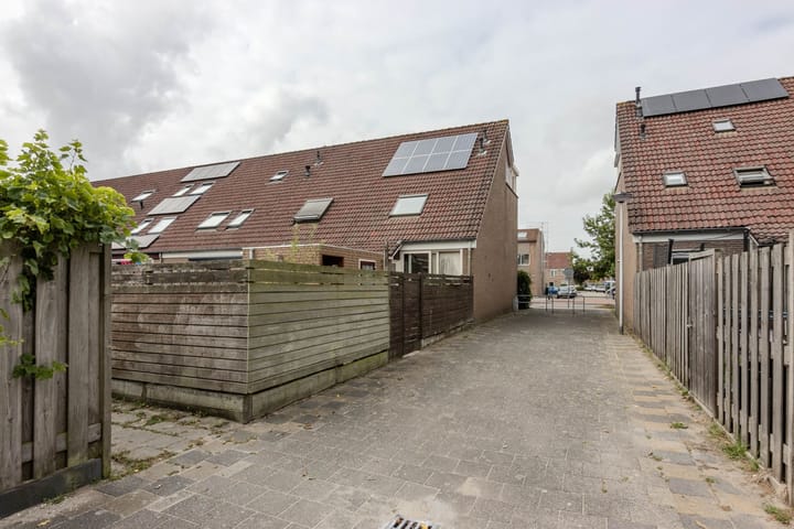 Foto 17 van Buntgras 33