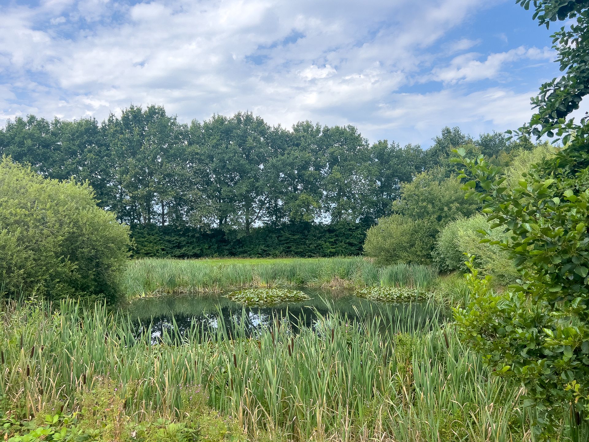 Foto 54 van Diepmaat 23