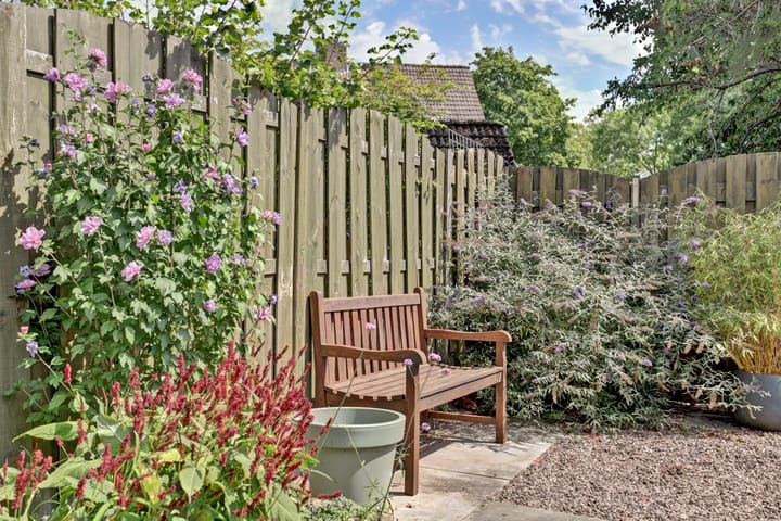 Foto 8 van Rigolettoplantsoen 4