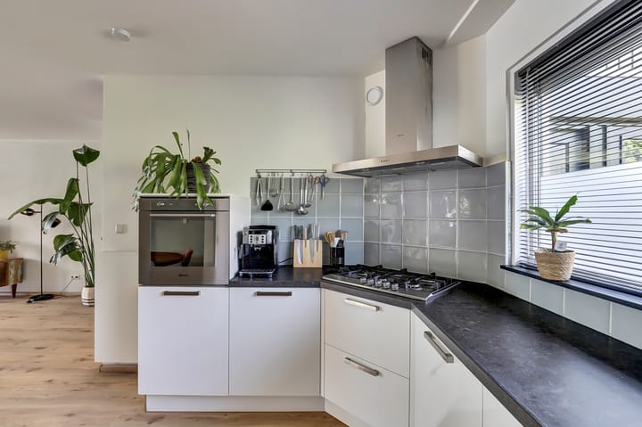 Foto 17 van Rigolettoplantsoen 4