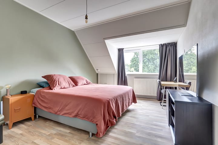 Foto 31 van Rigolettoplantsoen 4