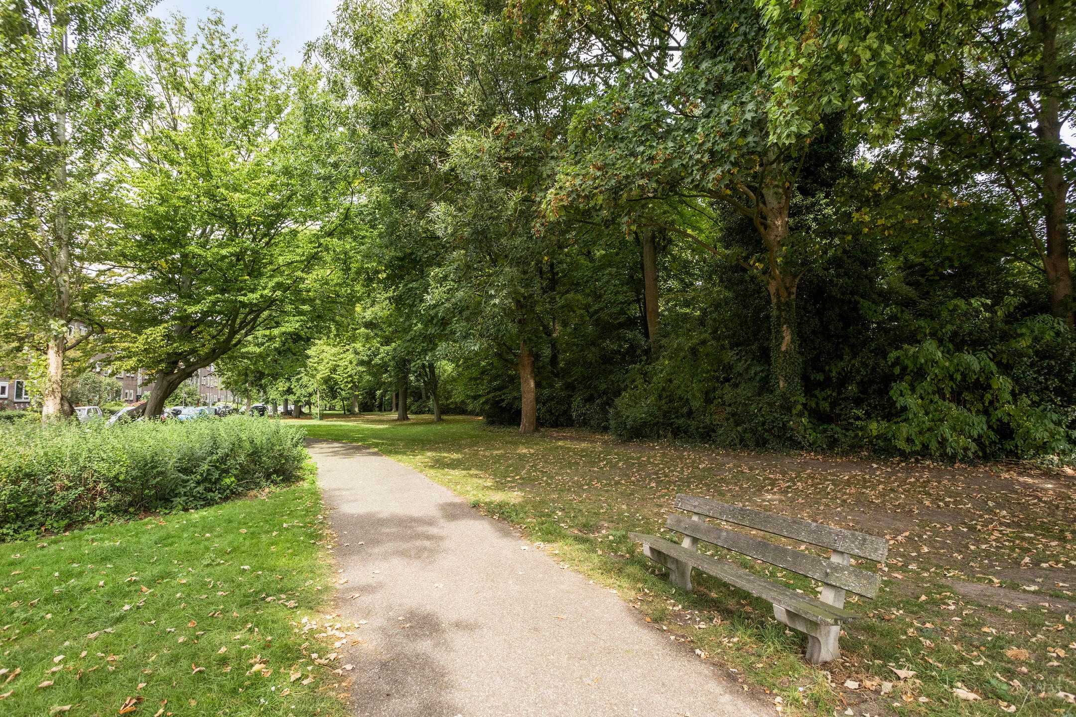 Foto 27 van Burgemeester Elsenlaan 319-F103