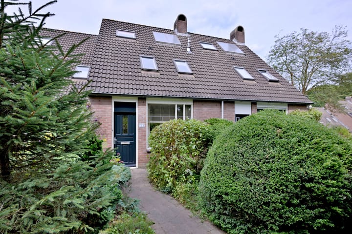 Foto 1 van Vogelslag 115