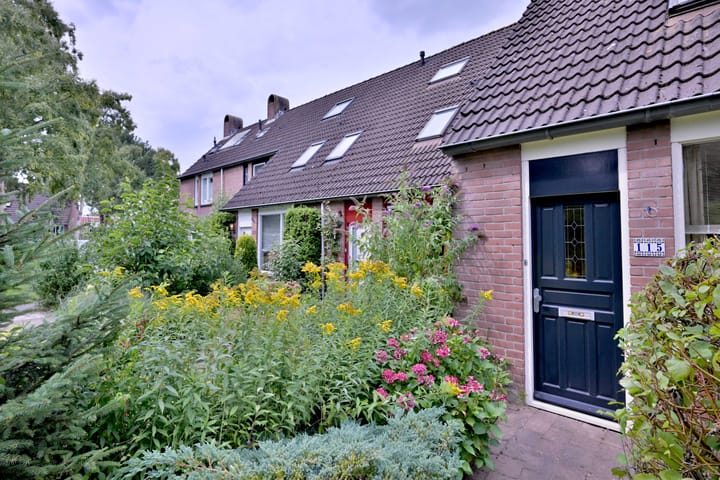 Foto 5 van Vogelslag 115