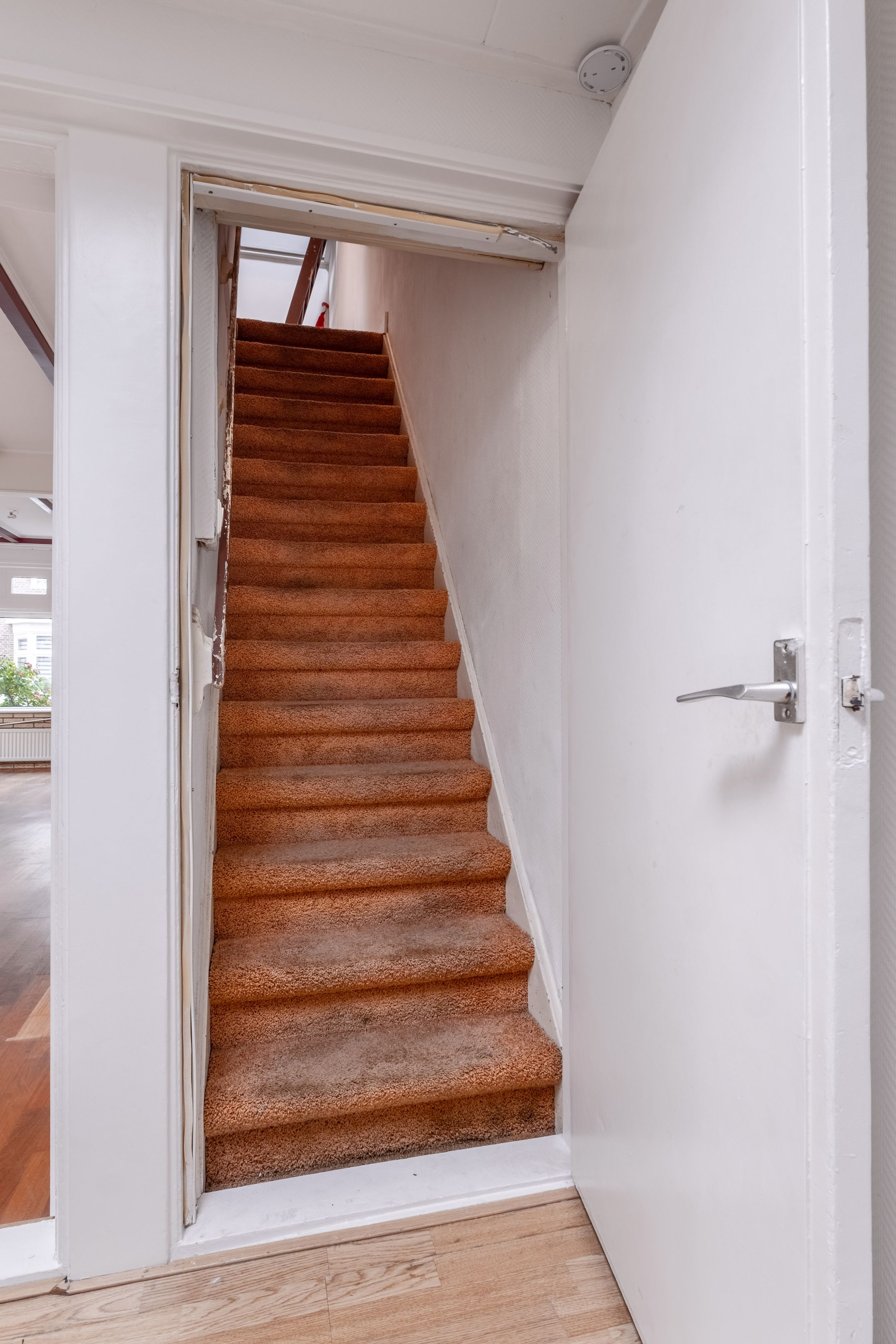 Foto 21 van Bernhardus Bumastraat 27