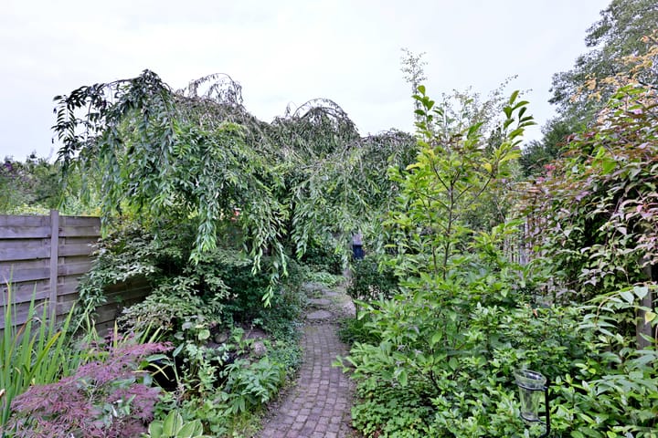 Foto 13 van Vogelslag 115