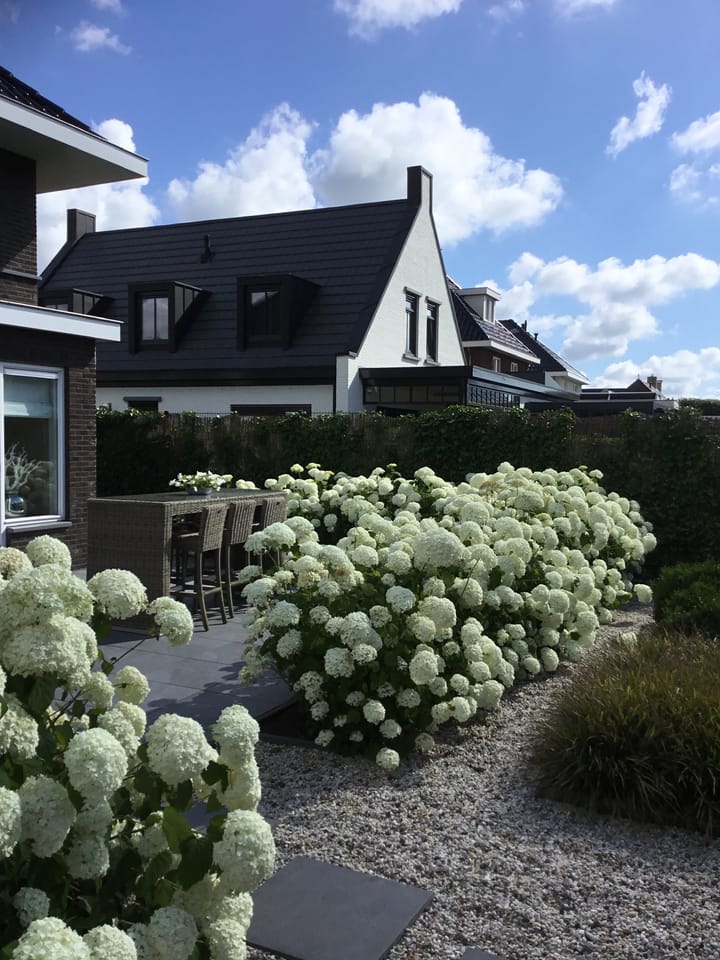 Foto 34 van Jacoba van Beierenweg 124-C