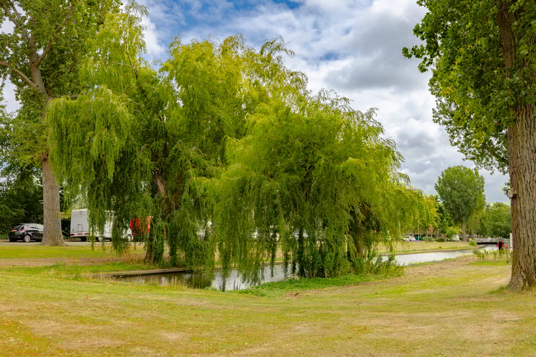 Foto 47 van Hannie Schaftstraat 102