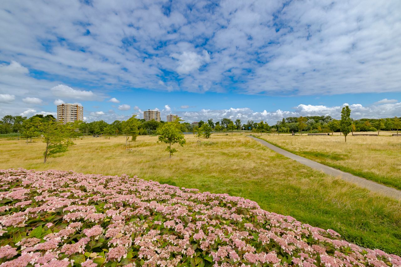 Foto 48 van Hannie Schaftstraat 102