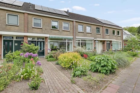 undefined main image