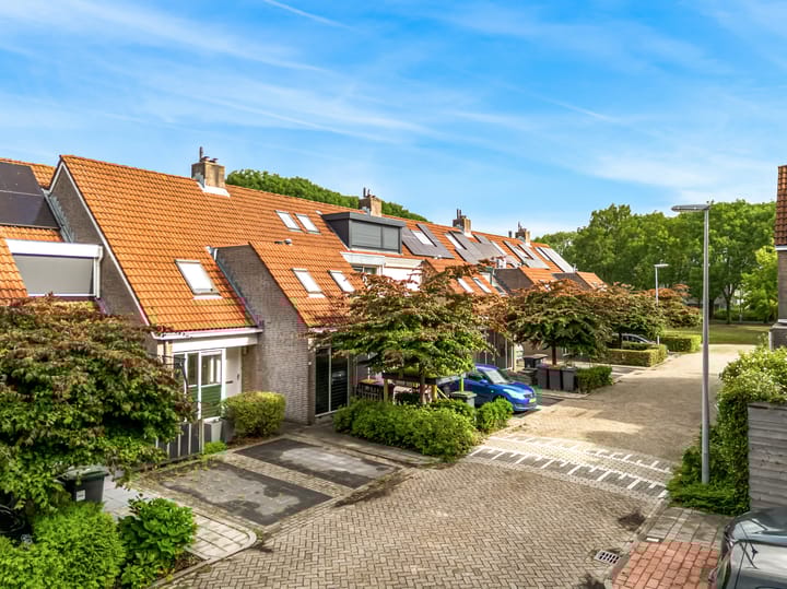 Photo 21 of Fregat 16