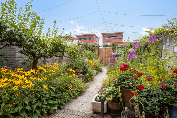 Photo 23 of Assepoester 15