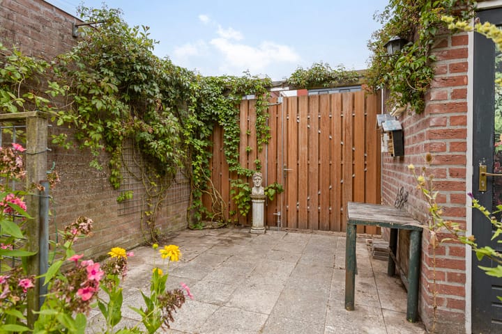 Photo 25 of Assepoester 15