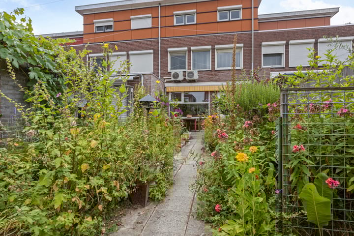 Photo 26 of Assepoester 15