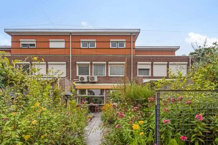 Photo 27 of Assepoester 15