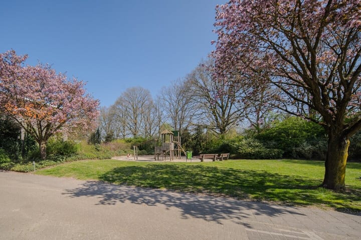 Photo 28 of Assepoester 15