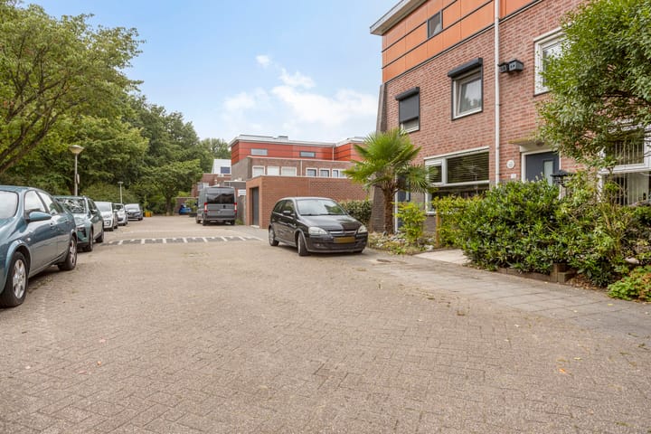 Photo 30 of Assepoester 15