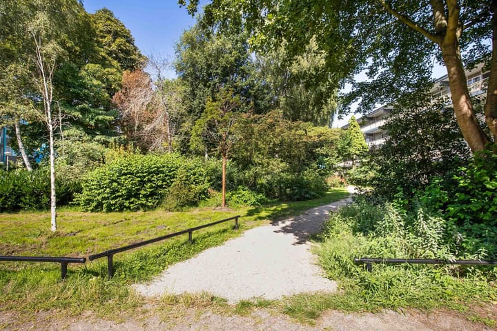 Foto 3 van Grootzeil 11