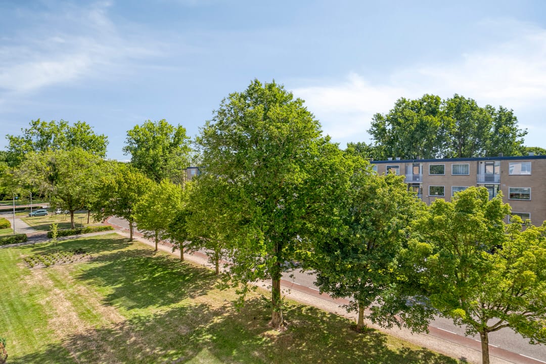 Photo 23 of Pieter Boddaertstraat 34