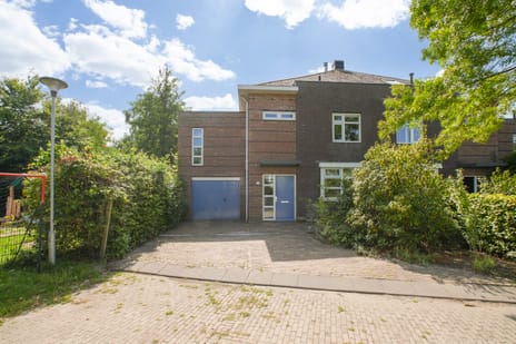 undefined main image