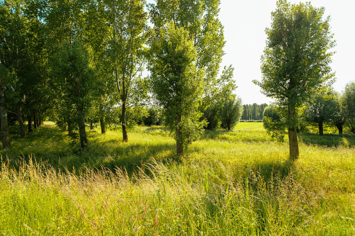 Foto 19 van Beeckendael 26