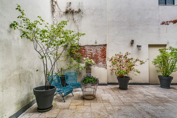 Foto 11 van Oude Vest 133-B