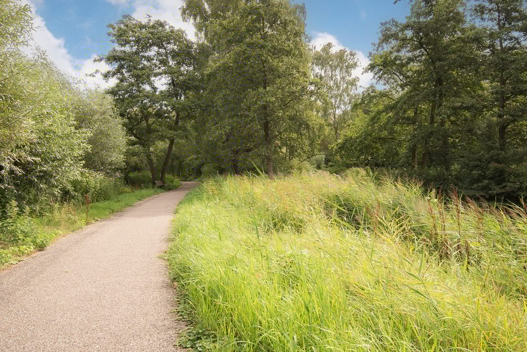 Foto 26 van Laan van Berlijn 126