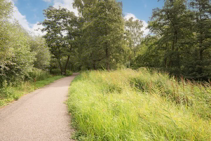 Foto 26 van Laan van Berlijn 126