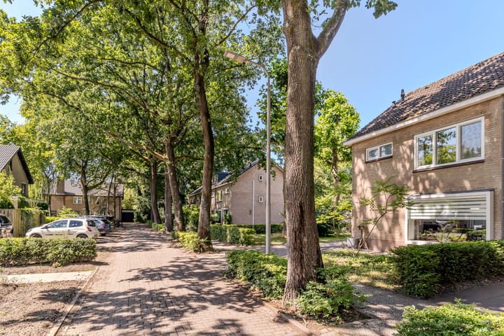 Foto 47 van Erasmuslaan 8