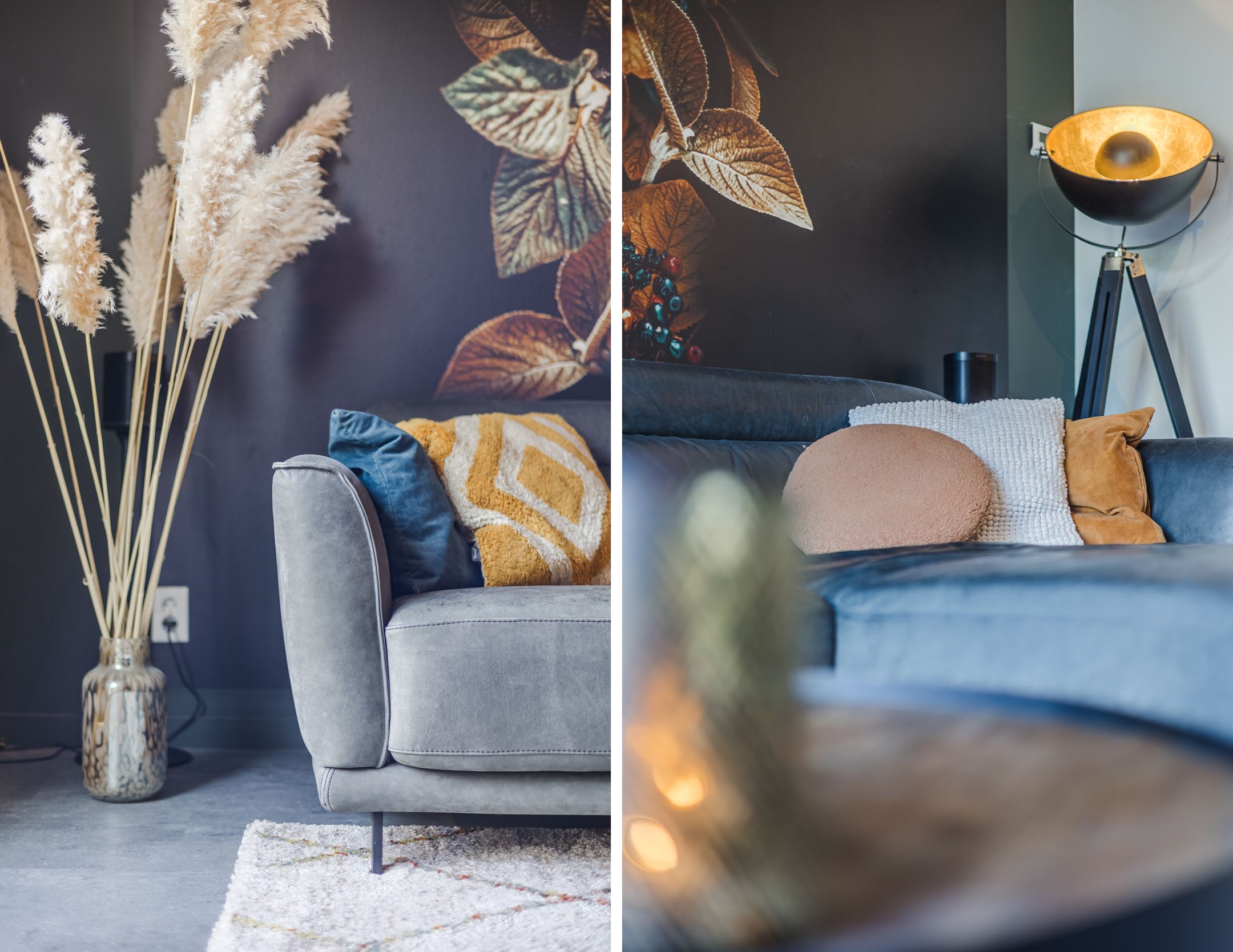 Foto 12 van Titus Brandsmastraat 19