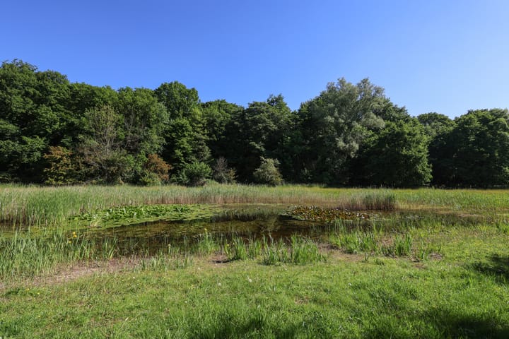 Foto 74 van Stationsweg 53