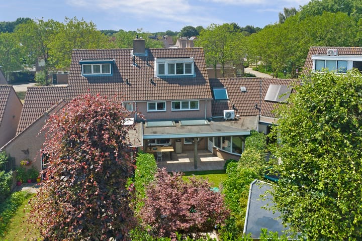 Foto 51 van Boekweit 53