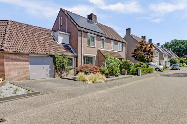 Foto 53 van Boekweit 53