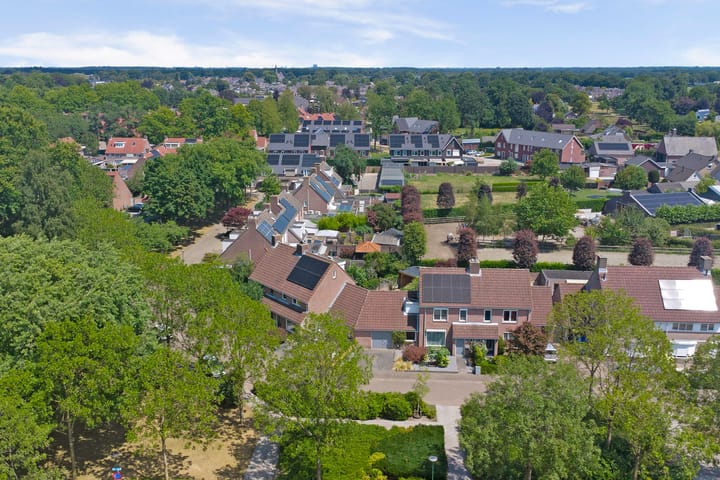 Foto 54 van Boekweit 53