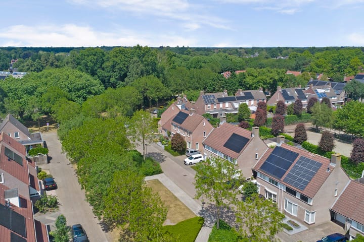 Foto 55 van Boekweit 53