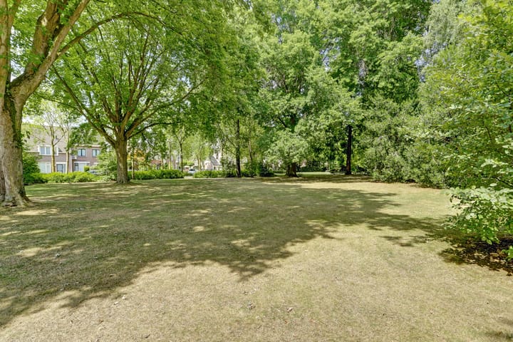 Foto 56 van Boekweit 53