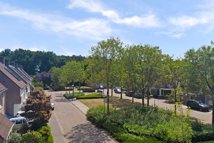 Foto 58 van Boekweit 53