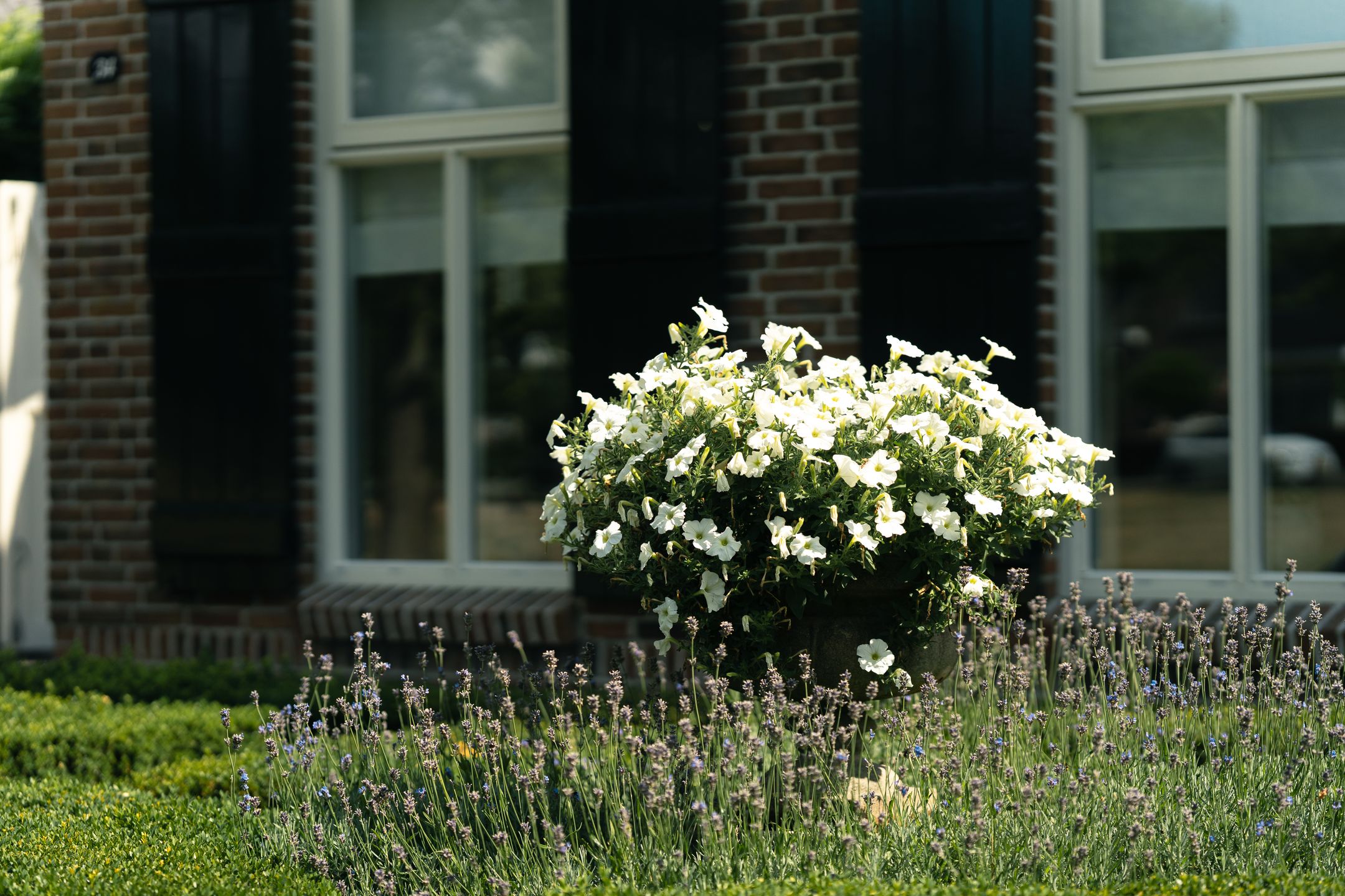 Foto 81 van Oostmoer 34