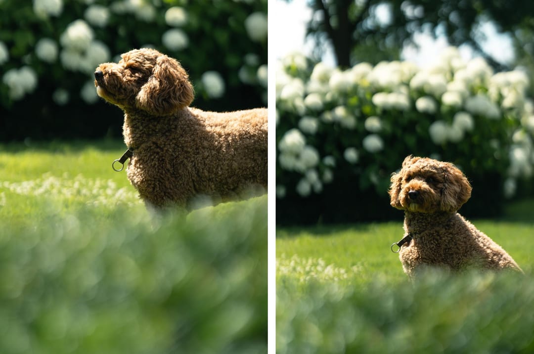 Foto 88 van Oostmoer 34