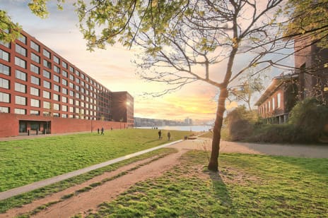 Bogortuin 55 tertiary image