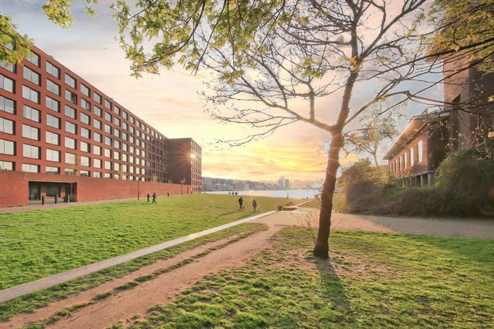 Foto 3 van Bogortuin 55