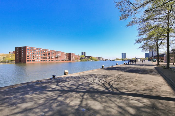 Foto 52 van Bogortuin 55