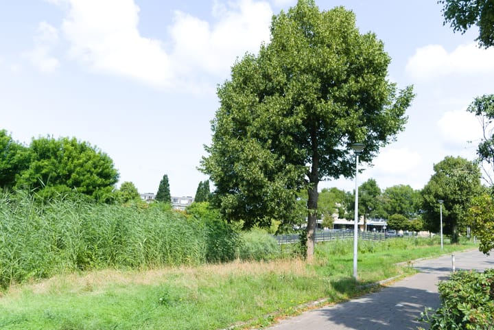 Photo 31 of Oesdommerveen 12