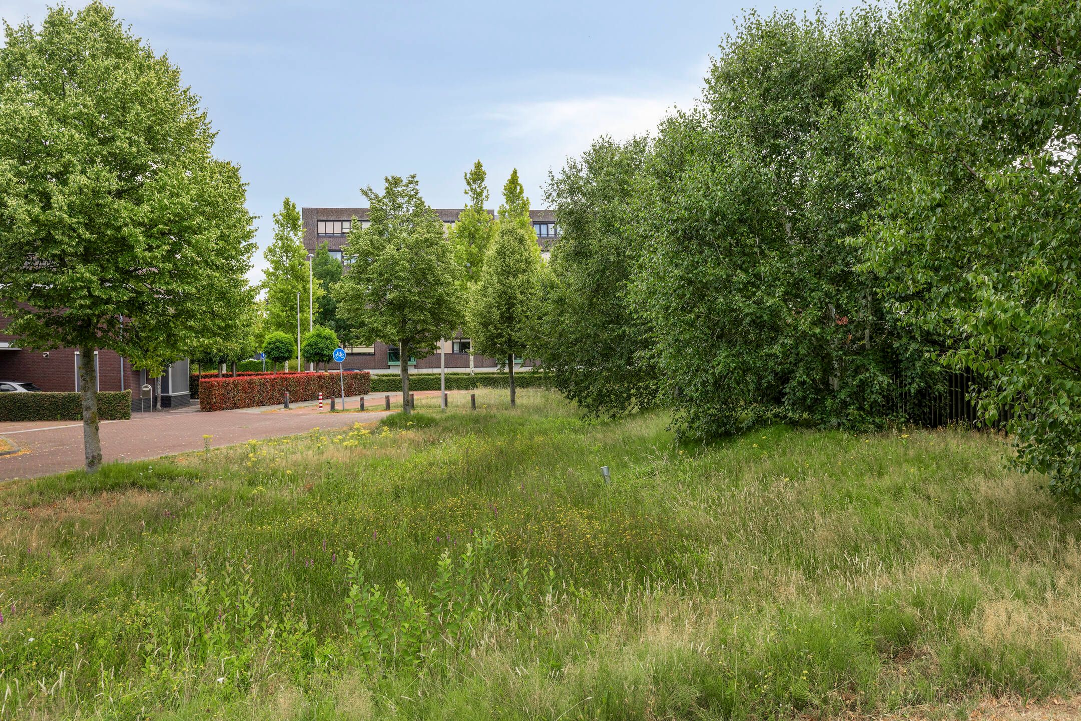 Foto 33 van Sydney 3