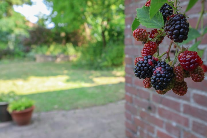 Foto 5 van Lambrechtsstraat 13