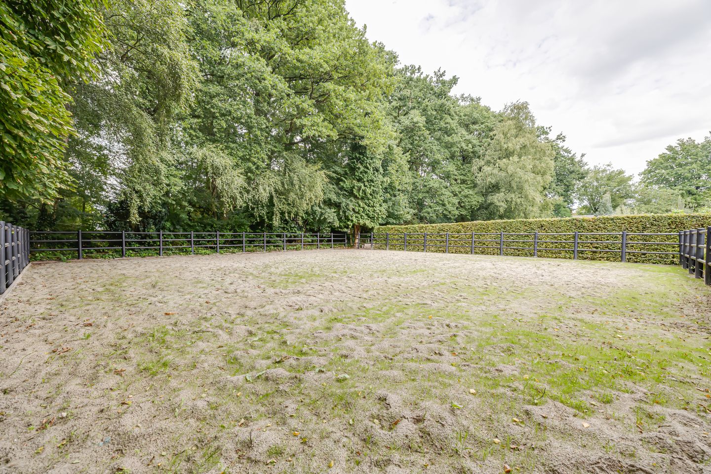 Foto 50 van Govert Flinckstraat 126