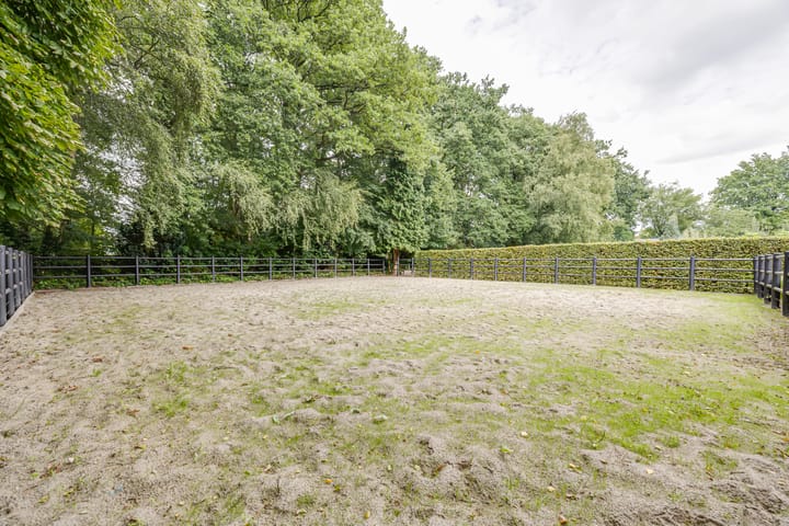 Foto 50 van Govert Flinckstraat 126