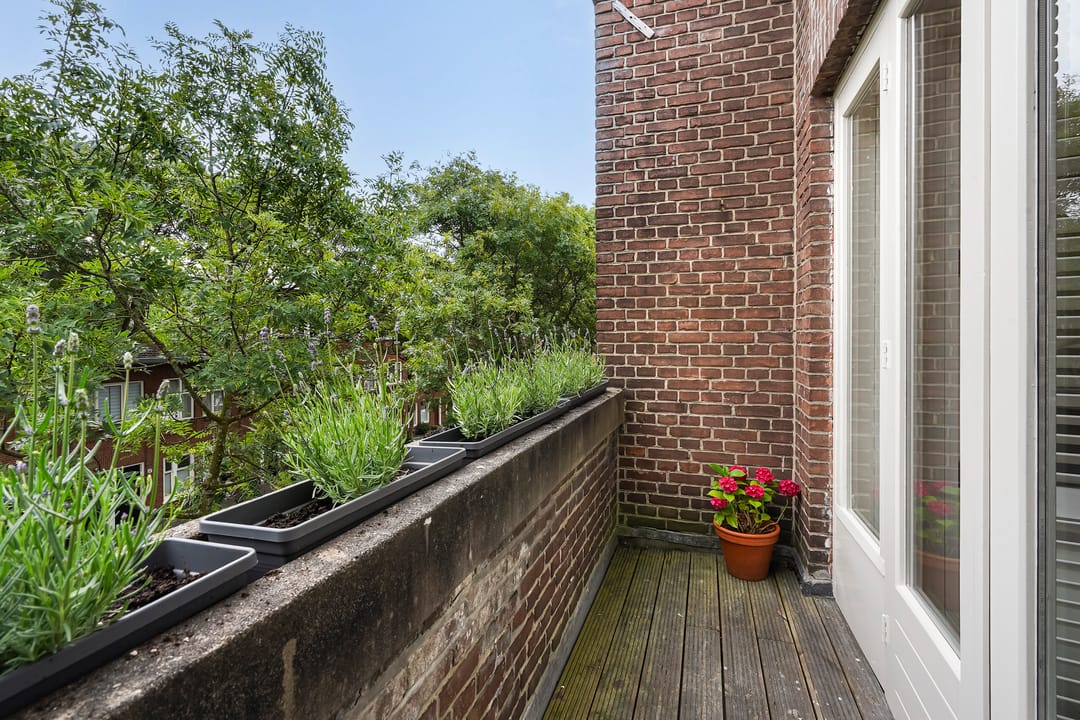 Foto 47 van Azaleastraat 78